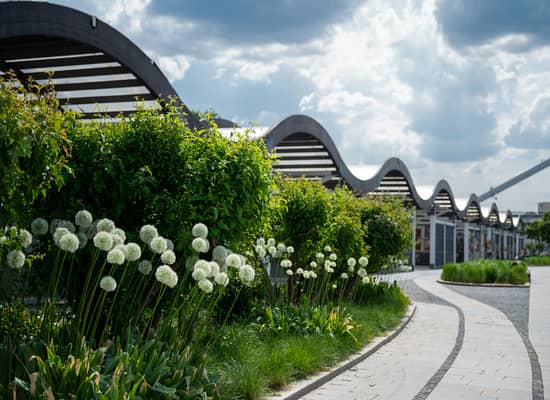 Посещение Парк искусств МУЗЕОН.